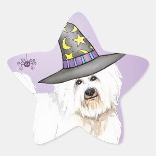Coton Witch Stern-Aufkleber