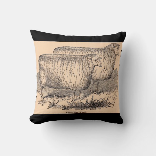 Cotswold ewes print aus dem 19. Jahrhundert Kissen (Vorderseite)