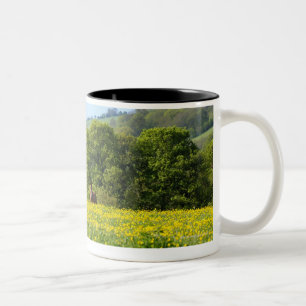 Cotswolds, Großbritannien Zweifarbige Tasse