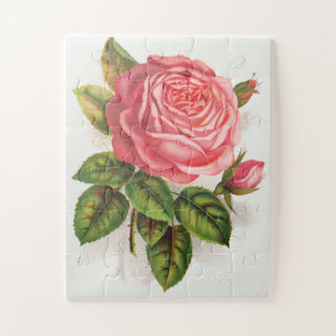 Cottagecore Antike Pink-Rosen-Blumenillustration