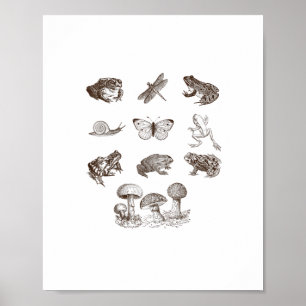 Cottagecore-Ästhetik-Pilz-Akademie-Frosch-Gobli Poster