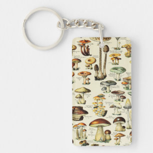 Cottagecore Champignons Naturaliste Vintage
