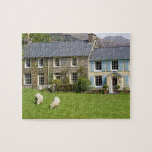 Cottages, Beddgelert, Gwynedd, Wales