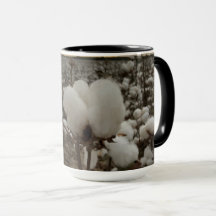Cotton Boll Sunset