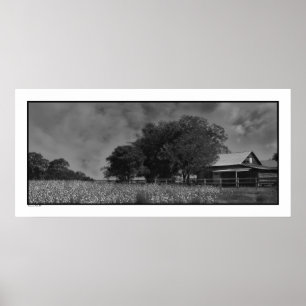 Cottonfield u. Scheunen-Plakat-Druck Poster