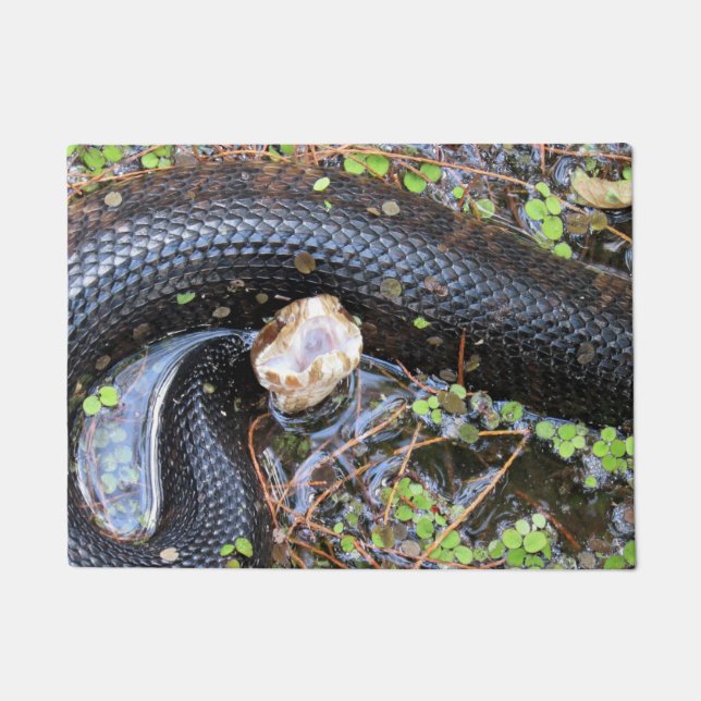 Cottonmouth Water Moccasin - Doormat Fußmatte (Vorderseite)