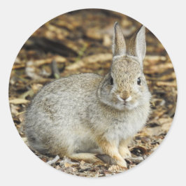 Cottontail-Aufkleber Runder Aufkleber