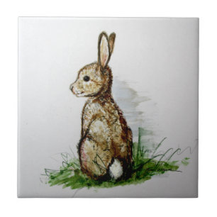 Cottontail . . . fliese