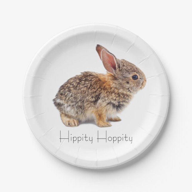 Cottontail-Kaninchen Pappteller (Vorderseite)