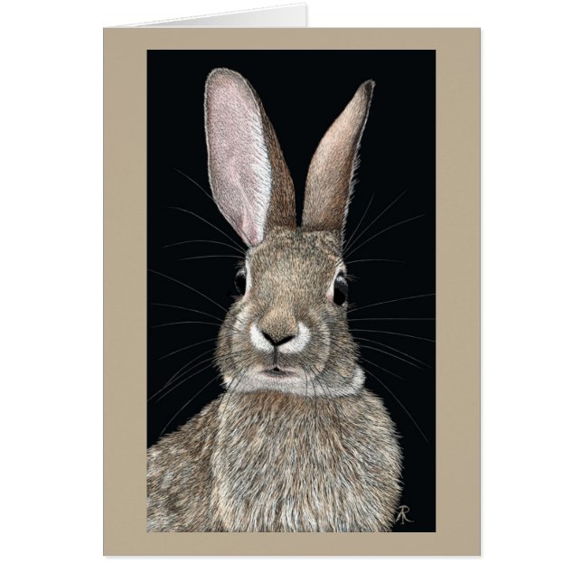 Cottontail Rabbit Card (Vorne)