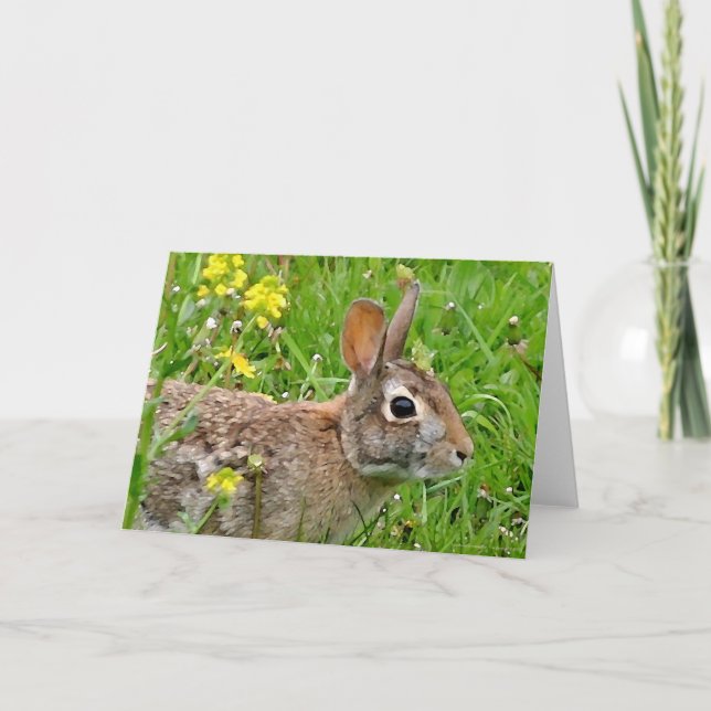 Cottontail Rabbit Notecard Karte (Vorderseite)