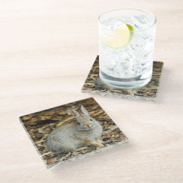 Cottontail-Untersetzer Glasuntersetzer