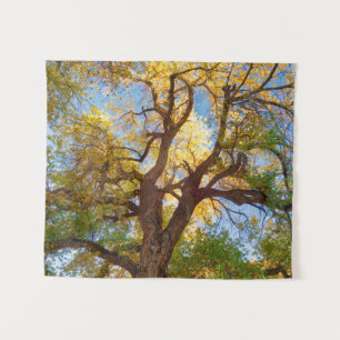 Cottonwood Tree   Capitol Reef National Park, Utah Wandteppich