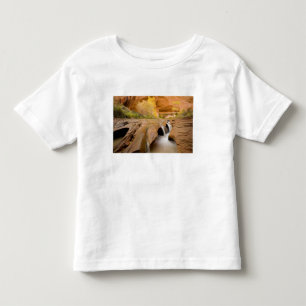 Cottonwoods im Herbst, Coyote Gulch, Glen Kleinkind T-shirt