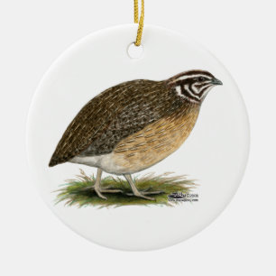 Coturnix Pharaoh Quail Keramikornament