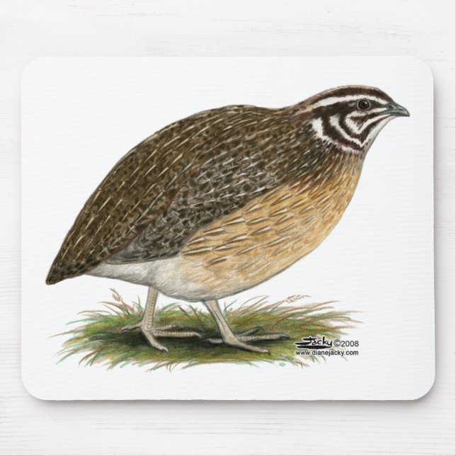 Coturnix Pharaoh Quail Mousepad (Vorne)