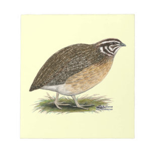 Coturnix Pharaoh Quail Notizblock