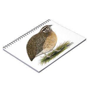 Coturnix Pharaoh Quail Notizblock