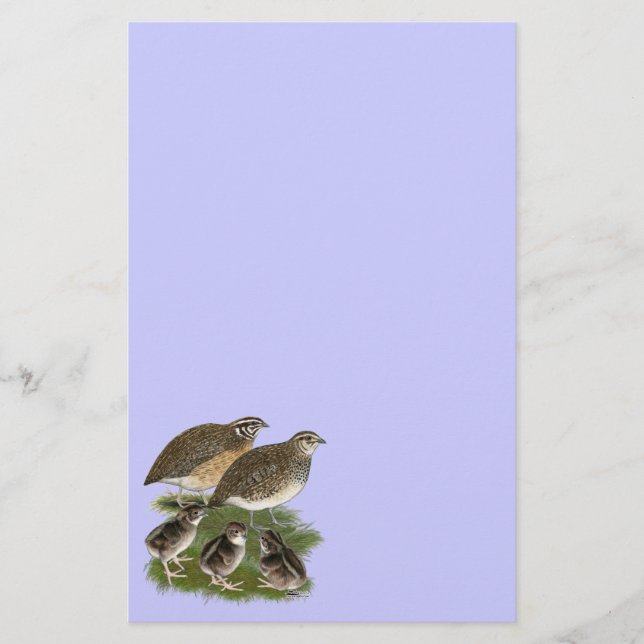 Coturnix Quail Briefpapier (Vorderseite)