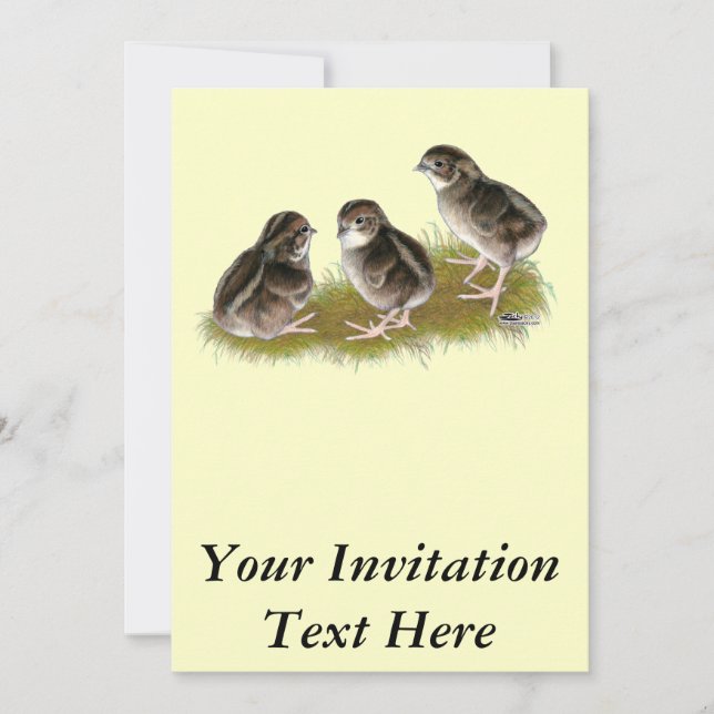 Coturnix Quail Chicks Einladung (Vorderseite)