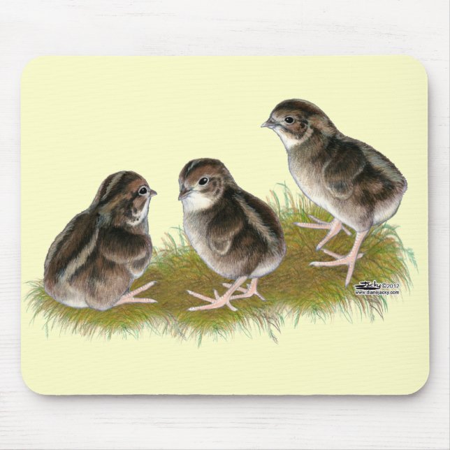 Coturnix Quail Chicks Mousepad (Vorne)