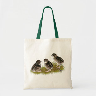 Coturnix Quail Chicks Tragetasche