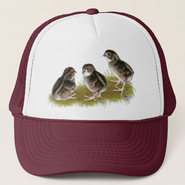 Coturnix Quail Chicks Truckerkappe (Vorderseite)