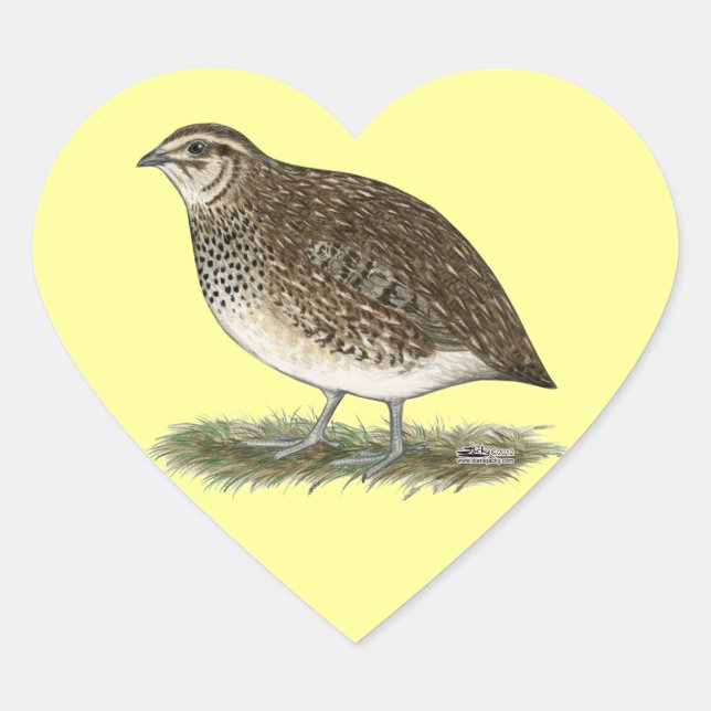 Coturnix Quail Hen Herz-Aufkleber (Vorderseite)
