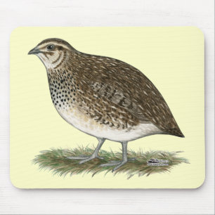 Coturnix Quail Hen Mousepad
