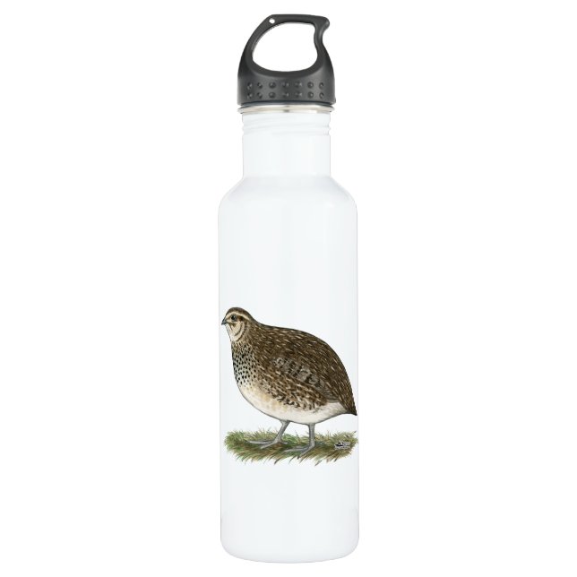 Coturnix Quail Hen Trinkflasche (Vorderseite)