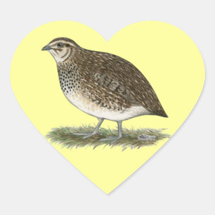 Coturnix-Wachtel-Henne Herz-Aufkleber