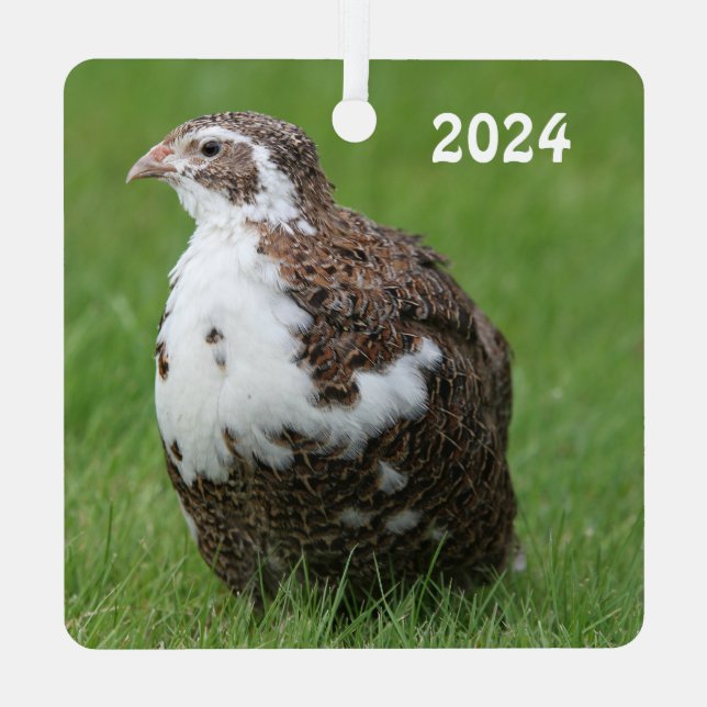 Coturnix Wachtel im Gras Ornament Aus Metall (Rückseite)