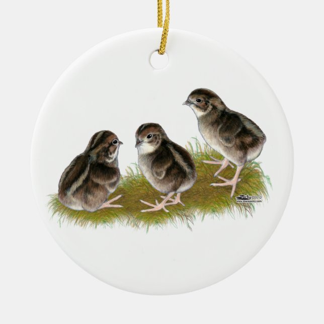 Coturnix-Wachtel-Küken Keramikornament (Vorne)