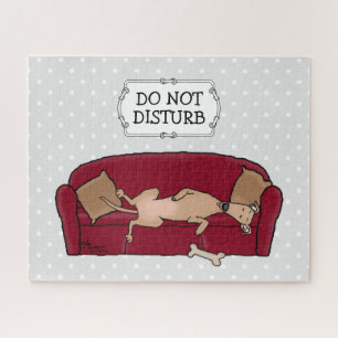 Couch Greyhound (fawn) Dog Lazy Sleeping Funny