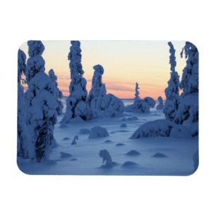 Couché de soleil en Laponie Magnet