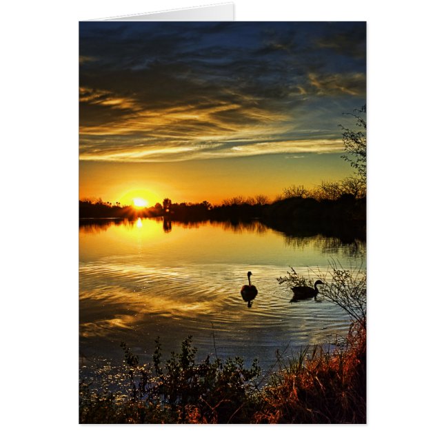 Coucher de soleil (Devant)