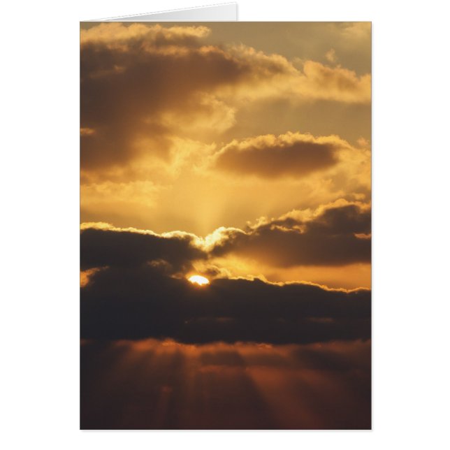 Coucher de soleil (Devant)
