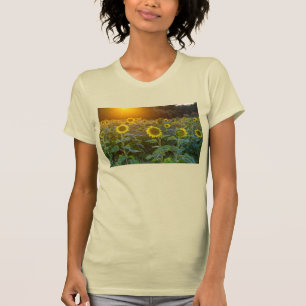 Coucher De Soleil À Sunflower Field T-Shirt