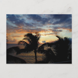 Coucher De Soleil À Travers La Carte Postale Palms