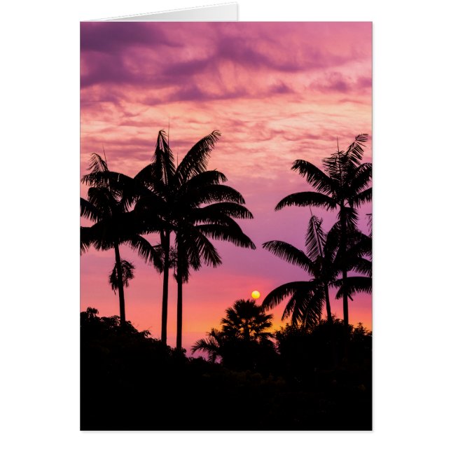 Coucher de soleil à travers les palmiers (Devant)