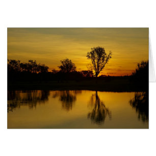 Coucher de soleil, Billabong de Yellow Water