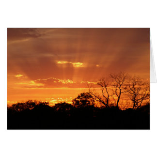 "coucher de soleil céleste" par Larry Coressel