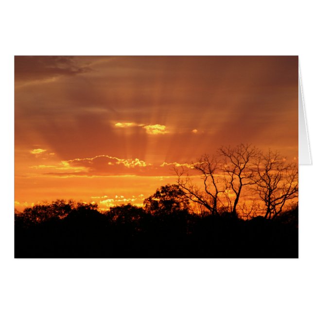 "coucher de soleil céleste" par Larry Coressel (Devant horizontal)