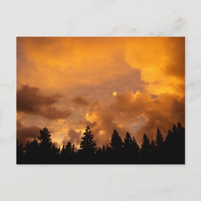 Coucher de soleil dans les Sierras - Carte postale (Devant)