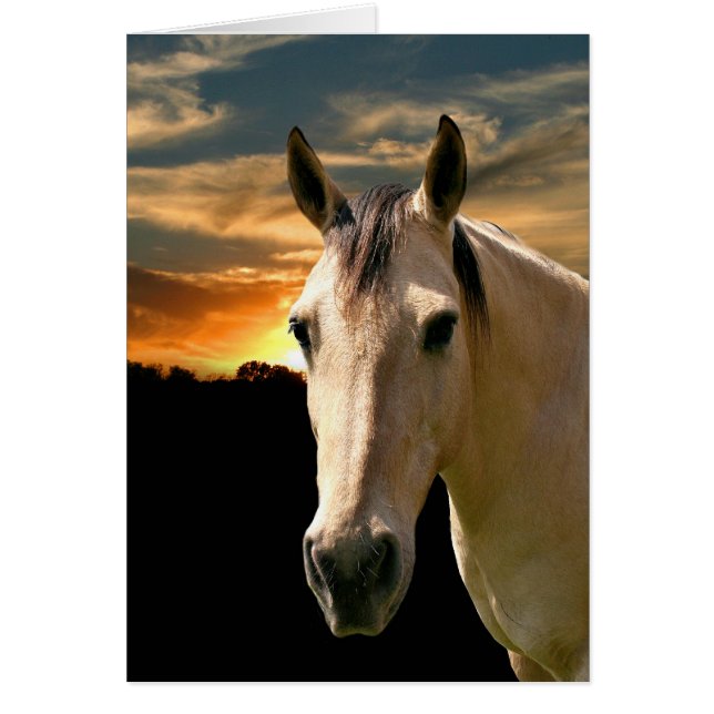 Coucher de soleil de cheval de Buckskin (Devant)