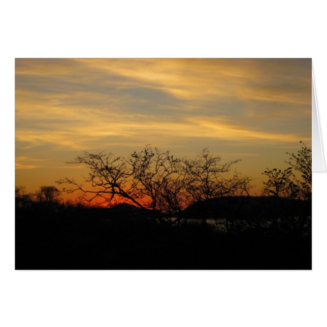 Coucher de soleil de forêt sèche (Devant Horizontal)