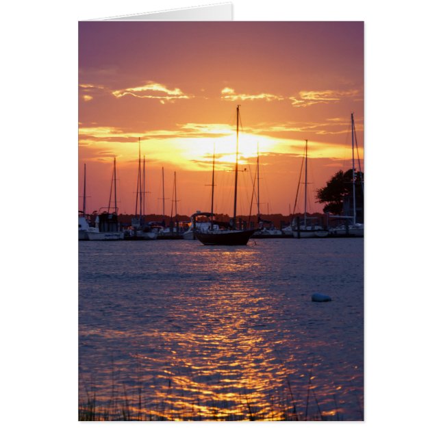 Coucher de soleil de la passion violette (Devant)