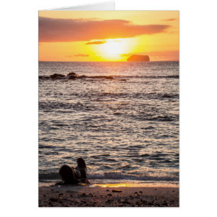 Coucher de soleil de l'îlot des moustiques