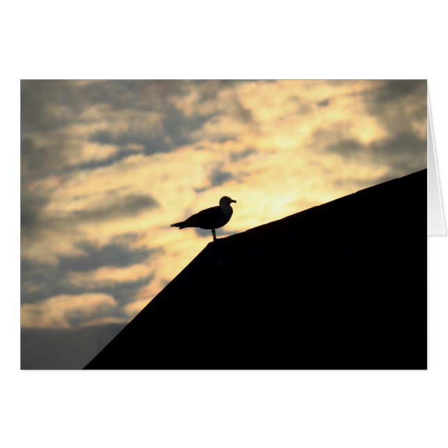 Coucher de soleil de Sea Gull (Devant horizontal)