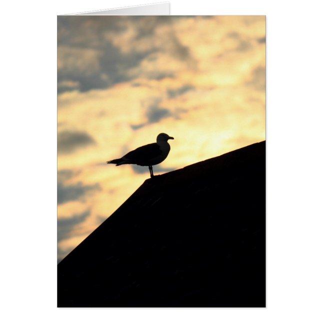 Coucher de soleil de Sea Gull (Devant)
